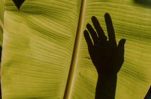 Ημερίδα του Clima21 για την «πράσινη» μετάβαση