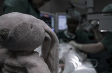 Αρκουδάκι μέσα στο νοσοκομείο ενώ γίνεται εξέταση σε παιδάκι