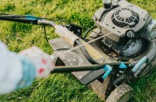 Δηλώσεις καθαρισμού οικοπέδων: Παράταση έως τις 30 Ιουνίου στην ψηφιακή πλατφόρμα akatharista.apps.gov.gr - Η υπουργική απόφαση για τα μέτρα πυροπροστασίας