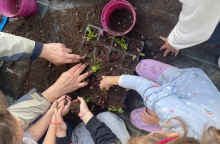 Αειφόρο 2ο Νηπιαγωγείο Χολαργού