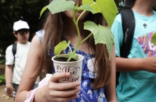 Ο Δήμος Αθηναίων γιόρτασε την Παγκόσμια Ημέρα Περιβάλλοντος 