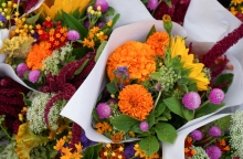 Εορτολόγιο: Σήμερα, 10 Φεβρουαρίου 2025, γιορτάζει…