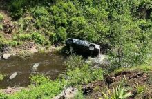 Σκύλος έτρεξε 4 μίλια για να ζητήσει βοήθεια για τον ιδιοκτήτη του - Η πτώση του αυτοκινήτου σε χαράδρα τον άφησε αποκλεισμένο - Οι ηρωικές ενέργειες του ζώου.