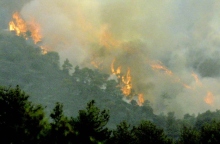 Κύπρος: Εκτός ελέγχου για 3η μέρα η πυρκαγιά στην Πάφο