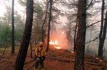 Τι μας δείχνει ο Έβρος για τις δασικές πυρκαγιές