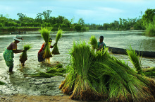 Μαγαδασκάρη