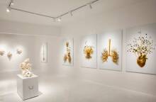 Costas Picadas - Anatomy unveiled στο Μουσείο Σύγχρονης Τέχνης Σαντορίνης