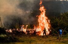 Φωτιές: Συνεχίζει να μαίνεται η πυρκαγιά στην Ηλεία - Καλύτερη η εικόνα σε Μεγαλόπολη και Κρανίδι - Πολύ υψηλός κίνδυνος πυρκαγιάς και σήμερα.