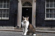 Ντάουνινγκ Στριτ: Λάρι, ο γάτος που γνωρίζει όλους τους πρωθυπουργούς 