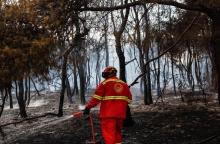 Φωτιά στα Γλυκά Νερά: Πώς ξέσπασε η πυρκαγιά 