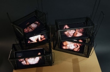 Μπάμπης Βενετόπουλος, "Rats", 2024