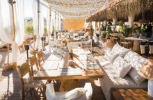 The Lemon Tree and Co.