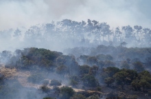 Φωτιά στη Λέσβο: Χωρίς ενεργό μέτωπο η φωτιά στο Μανταμάδο