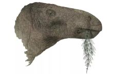 Βρετανία: Τα λείψανα ενός χορτοφάγου δεινόσαυρου που εκτιμάται ότι έζησε πριν περίπου 125 εκατομμύρια χρόνια εντοπίστηκαν στο νησί Γουάιτ