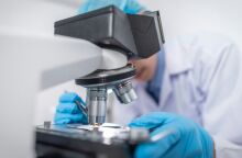 Γρίπη των πτηνών: Γιατί οι αγελάδες είναι επικίνδυνες για να ξεκινήσει μία πανδημία Η5Ν1- Γιατί ανησυχεί τόσο πολύ τους επιστήμονες η ανίχνευση στα βοοειδή.