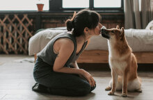 Η συμβίωση με ζώα είναι σημάδι πολιτισμού. Όμως τι αισθάνονται τα ζώα;
