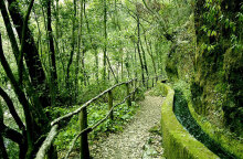 Περιβαλλοντικά προβλήματα: Λύσεις από την τεχνολογία, αδιέξοδα από ιδεολογία