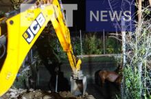 Ροδόπη: Διάσωση άγριου αλόγου από δεξαμενή άρδευσης 