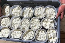 Τυροκομείο Κυριακάκης, Βόρεια Εύβοια