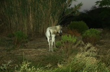 «Η δική μου Λήμνος»