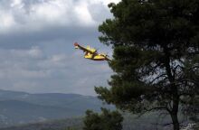 Φωτιά στην Καρδίτσα: Σε δάσος κοντά στη Λίμνη Πλαστήρα - Ισχυρές δυνάμεις της Πυροσβεστικής, στη μάχη και εναέρια μέσα. 