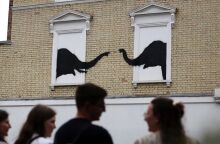 Ο Banksy αποκαλύπτει δεύτερο έργο μέσα σε 24 ώρες στο Λονδίνο - Δύο ελέφαντες ζωγραφισμένοι σε παράθυρα στο Τσέλσι μετά την εμφάνιση τοιχογραφίας με κατσίκα.