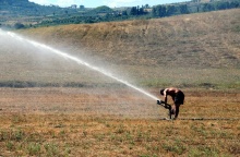 Άτομο δημιουργεί τεχνητή βροχή για το πότισμα