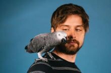 Παπαγάλος πέτυχε ρεκόρ Γκίνες χάρη στην ευφυΐα του - Ο Απόλο κατονόμασε με επιτυχία 12 αντικείμενα σε μόλις 3 λεπτά - Το πανέξυπνο πτηνό έγινε viral στο TikTok.