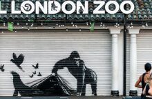 Banksy: Με έναν γορίλα που απελευθερώνει πουλιά, ο street artist ολοκληρώνει τη σειρά των ζώων που εμφανίστηκαν αιφνιδιαστικά σε τοίχους του Λονδίνου.