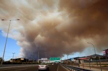 Φωτιά στην Αττική: Μέτρα πλαισίου κρατικής αρωγής για τη στήριξη πυρόπληκτων περιοχών - Τι προβλέπεται για αποζημιώσεις και ενισχύσεις.