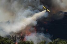 Πυροσβεστική: 30 πυρκαγιές το τελευταίο εικοσιτετράωρο σε όλη τη χώρα - Σε ποιες περιοχές συνεχίζεται η μάχη με τις φλόγες.