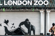 Ο ζωολογικός κήπος του Λονδίνου αφαίρεσε το τελευταίο έργο του Banksy