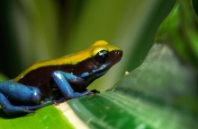 Κλιματική αλλαγή: Επιπτώσεις στον κόσμο που δε γνωρίζαμε