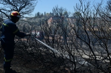 Φωτιά στην Πρέβεζα: Υπό έλεγχο η πυρκαγιά