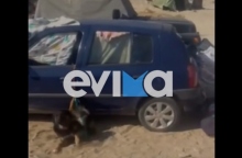 Εύβοια: Κλείδωσαν σκύλο σε αυτοκίνητο για ώρες