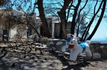 Δίκη για Μάτι: Συνεχίζονται οι καταθέσεις των συγγενών