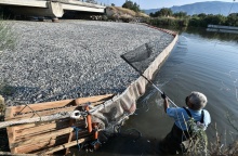 Νεκρά ψάρια στον Βόλο