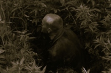 Το hype με τον Ταρκόφσκι, και όσα δεν έκανα στη ζωή μου