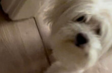 Η περιπέτεια της Κάσι