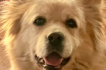 Καλοκαίρι: Αναγνώσεις, αναρρώσεις, απώλειες