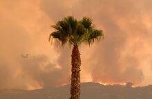 Λος Άντζελες: Σε πύρινο κλοιό η πόλη, δεκάδες σπίτια έγιναν στάχτη - Μέσα σε 24 ώρες σχεδόν 200.000 στρέμματα γης κάηκαν