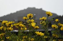 Καιρός: Βελτιωμένος την Κυριακή 22 Σεπτεμβρίου με τοπικές βροχές - Η αναλυτική πρόγνωση του meteo και της Εθνικής Μετεωρολογικής Υπηρεσίας. 