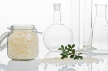 Tα οφέλη της µαστίχας