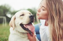 Παγκόσμια Ημέρα των Ζώων, 4 Οκτωβρίου - Το σωματείο «Αντιμετώπιση Παιδικού Τραύματος» παρέχει οδηγίες πρόληψης παιδικών ατυχημάτων από ζώα. 