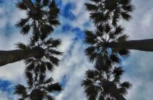 Με συννεφιά και έως τους 32 °C ο καιρός την Παρασκευή - Πού θα βρέξει