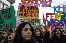 untitled_design_-_2024-10-11t162726_228