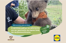 lidl-hellas-arktouros