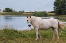 Οικοτουριστικοί θησαυροί της Ελλάδας: Ταξίδεψε σε 7 παραδεισένιους προορισμούς