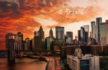 Γιατί πεθαίνουν τα πουλιά στη Νέα Υόρκη 