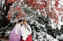 Νότια Κορέα: Η Σεούλ κάτω από το βαρύτερο πέπλο χιονιού των τελευταίων 100 ετών για τον μήνα Νοέμβριο - 16,5 εκατοστά έπεσαν το πρωί της 27ης Νοεμβρίου. 